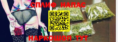 СК Заводоуковск