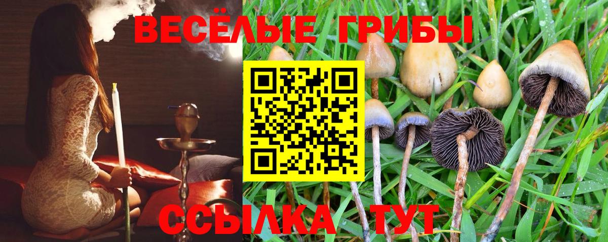 Димитровград  Галлюциногенные грибы мицелий  Вход с VPN 